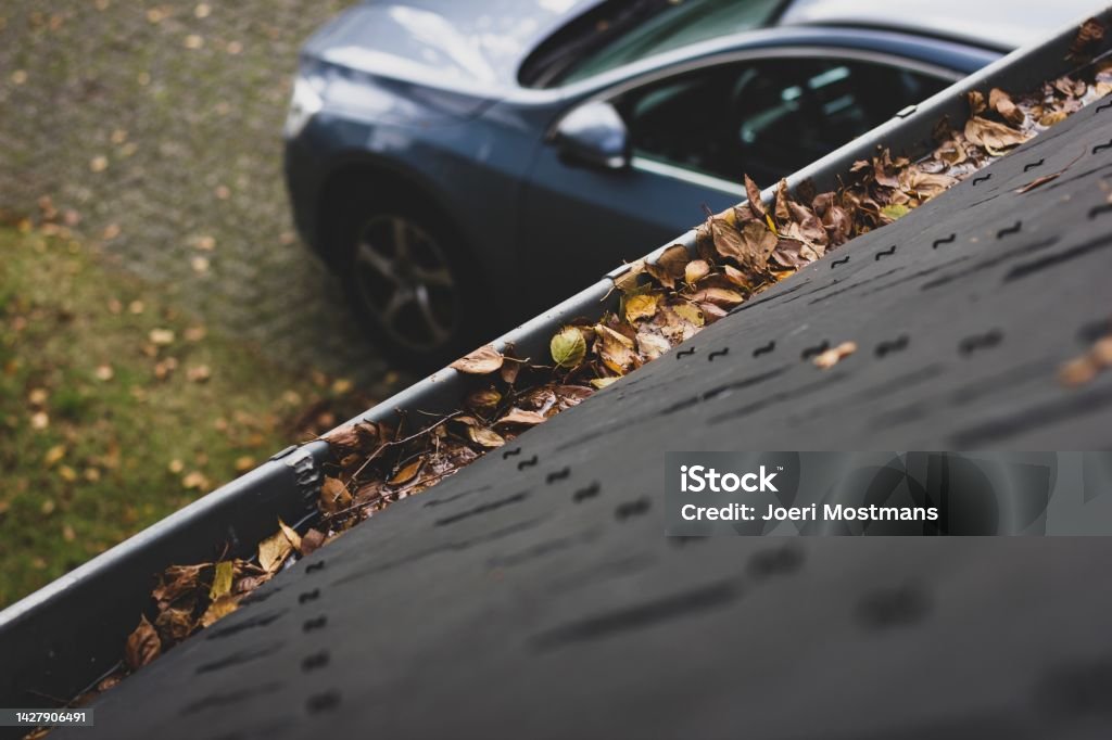 A portrait of a gutter and a slate roof of a house filled with fallen leaves due to autumn. The gutter needs to be cleaned during fall. In the background there is the driveway with a car on it. Roof Gutter Stock Photo