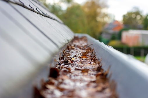 Un retrato del interior de una canaleta de techo obstruida llena de agua y hojas de otoño. El agua no puede escapar, esta es una tarea típica en o después del otoño cuando todas las hojas han caído. photo