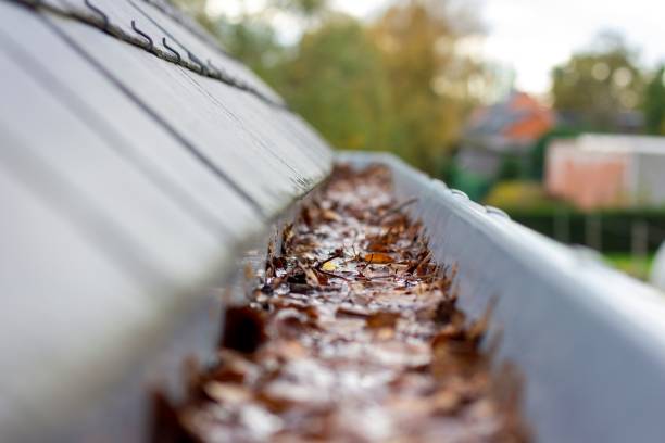 un portrait de l’intérieur d’une gouttière de toit bouchée remplie d’eau et de feuilles d’automne. l’eau ne peut pas s’écouler, c’est une corvée typique pendant ou après l’automne lorsque toutes les feuilles sont tombées. - eavestrough photos et images de collection