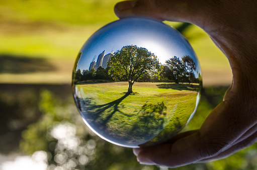 A beautiful tree with its shadow photography in clear crystal glass ball.