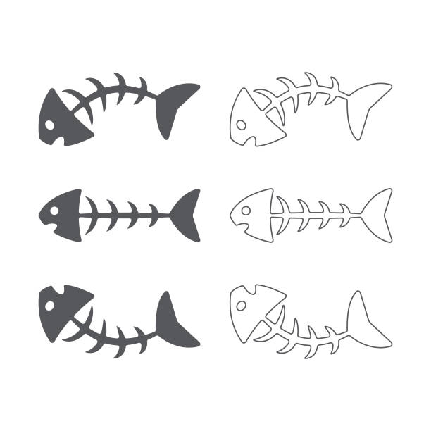 80+ Fishbone Drawing Illustrations - iStock