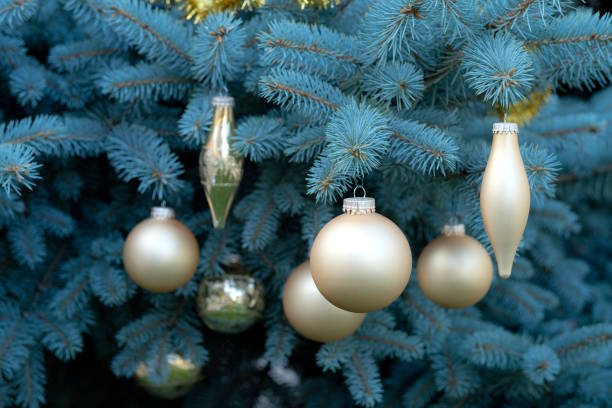 a branch of a spruce tree on which gold Christmas decorations hang