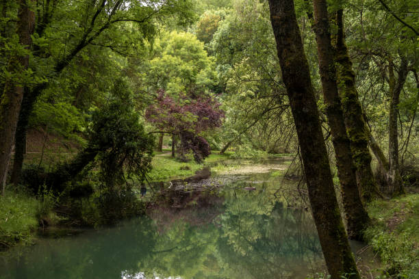 istock Source of the Ebro river in Fontibre, Cantabria, Spain. 1427921365