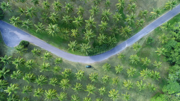istock A top-down drone shot of a winding road through trees 1427922391