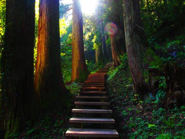 istock Ryuzu Falls in Shimane 1427923690