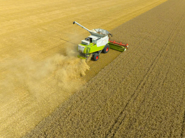 istock Combine harverster harvesting wheat during summer seen from above 1427925324