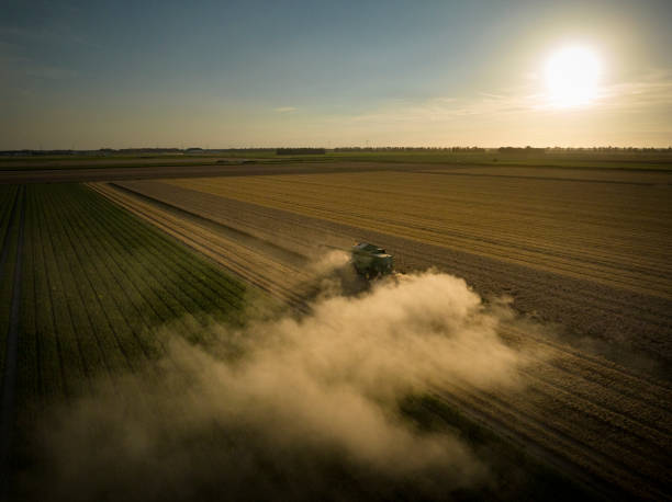 istock Combine harverster harvesting wheat during summer seen from above 1427925339