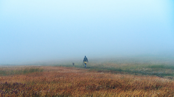 Man walking the dog through grass valley in foggy morning in autumn