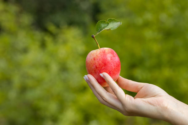 istock farmer holding an apple in his hand 1427930119