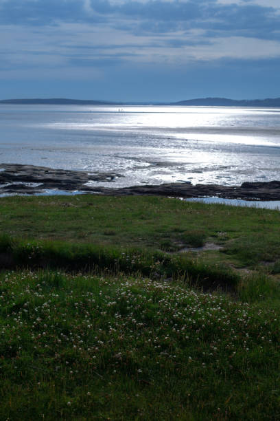 istock Seascape. Grass, sea and sky 1427931011