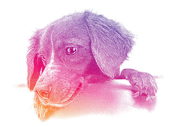 süßer mischlingshundwelpe - mixed breed dog illustrations stock-grafiken, -clipart, -cartoons und -symbole