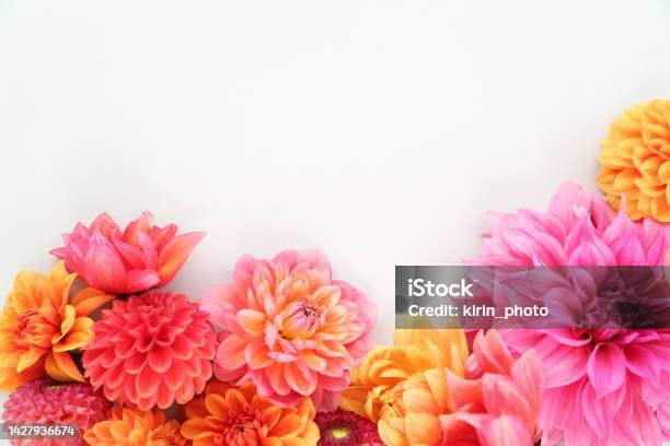 Summer Flowers Stock Photo - Download Image Now - Flower, Bouquet, White Background