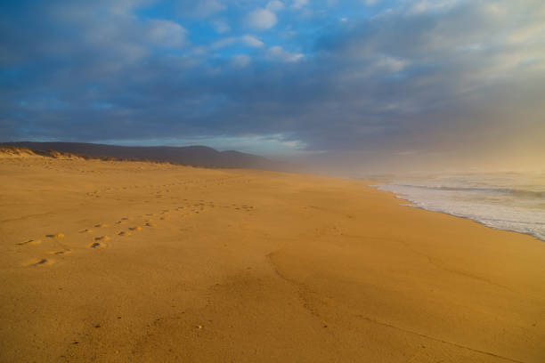 istock Beautiful beach in Figueira da Foz 1427936797