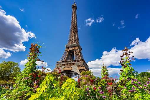 Eiffel Tower in summer season with flowers blooming, Paris. France