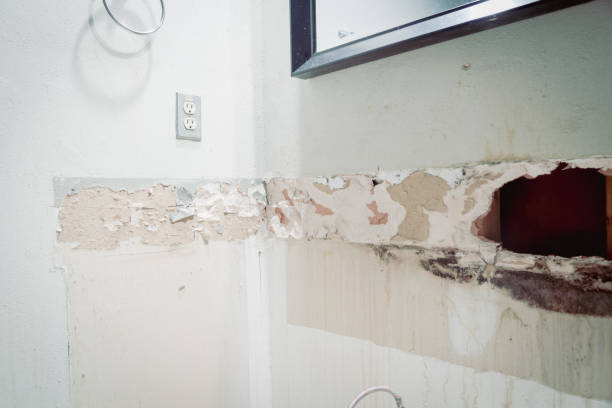 istock Damaged drywall under the mirror in bathroom with broken plasterboard and mold, mildew, water leaking at residential house in Texas, America 1427939932