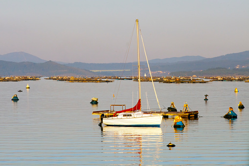 Sailing boat mooring, buoys and bateas in the background, Ría de Arousa,  Pontevedra province, Rías Baixas, Galicia, Spain.