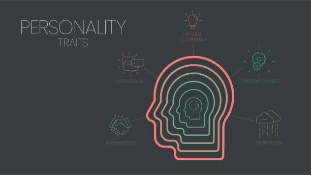 istock Big Five Personality Traits infographic has 4 types of personality such as Agreeableness, Openness to Experience, Neuroticism, Conscientiousness and Extraversion. Visual slide presentation vector. 1427944044