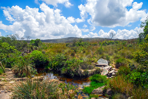 Main source of the São Francisco River, located in the high part of the Serra da Canastra park massif, São Roque de Minas, Minas Gerais, Brazil