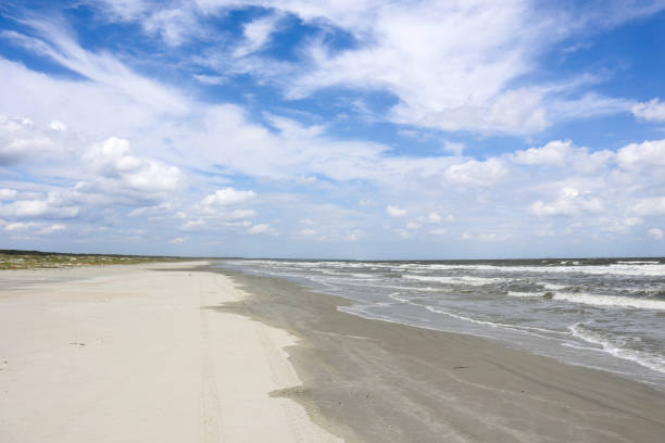 cumberland island beach afternoon - cumberland island imagens e fotografias de stock