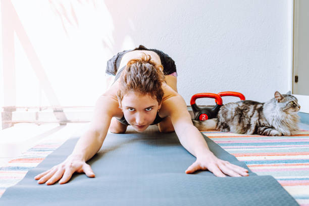istock Sports training house with pets. 1427948944