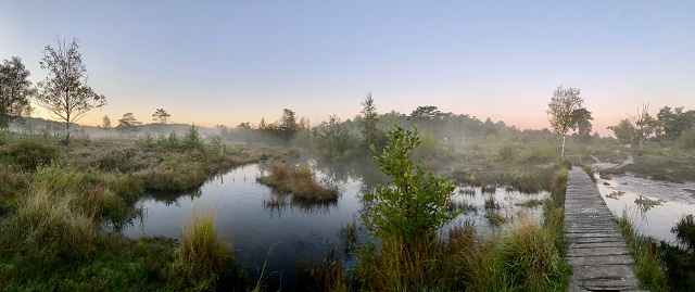 Flowing water in Mystic and misty sunrise over the heath area cold Brunssummerheide