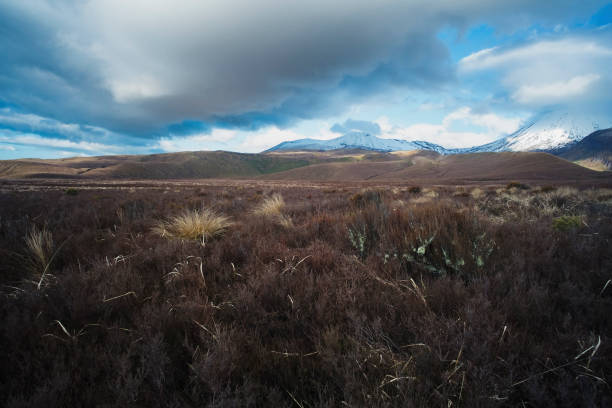 Photo of a landscape at the Tongariro National Park in the North Island of New Zealand.