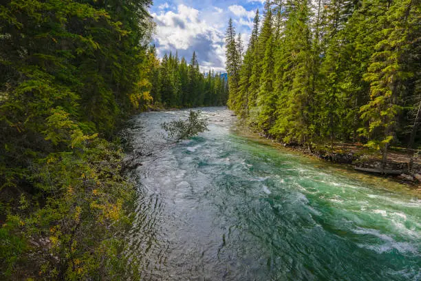 A view above the Maligne River swiftly flowing through the tree lined Maligne Canyon.