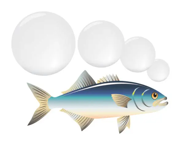 Vector illustration of fish and speech bubbles