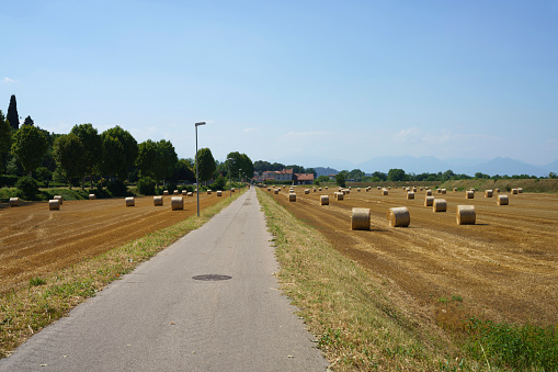 Country landscape near Longare, VIcenza province, Veneto, Italy