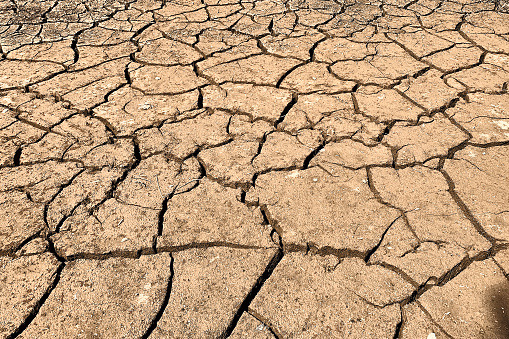 Dried out ground