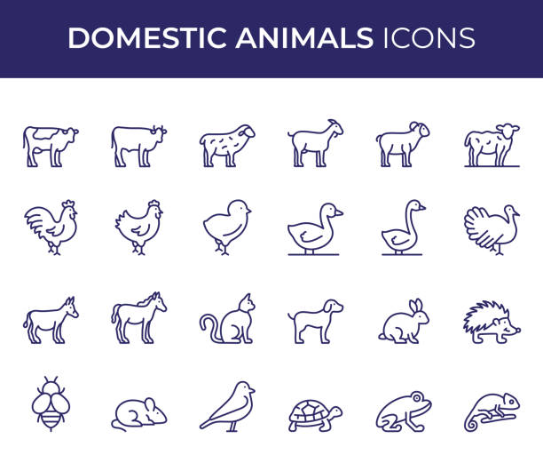 Domestic Animals Line Icons Vector Style Domestic Animals Editable Stroke Line Icon Set amphibian stock illustrations