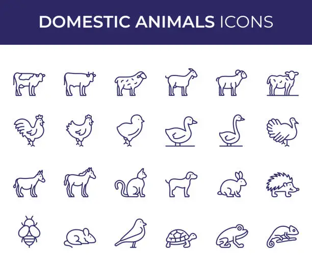 Vector illustration of Domestic Animals Line Icons