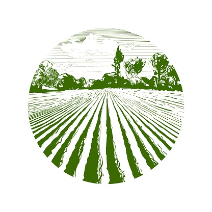 Farm field landscape. Circle round green landscape logo. Plowed furrows in preparation for crops planting. Rows of soil, rural countryside perspective horizon view. Vintage realistic engrav