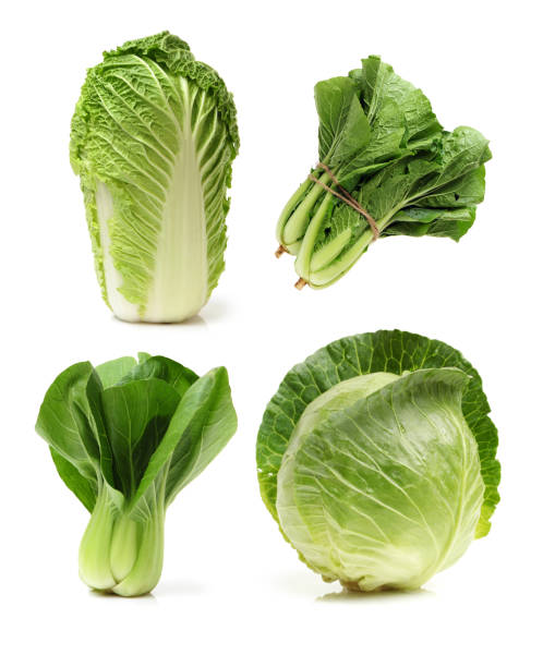Chinese cabbage stock photo