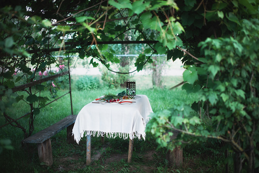 Garden table with a white tablecloth and food under an arch of grapes. Outdoor dining area. High quality photo.