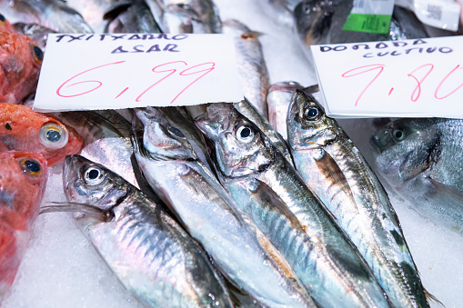 Fresh fish market in Bilbao, Spain