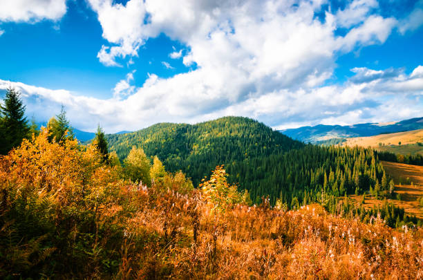 istock Panoramic mountain view. Autumn in the mountains 1427970736