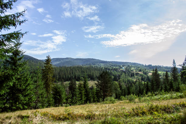 istock beautiful landscape of the carpathians 1427972040