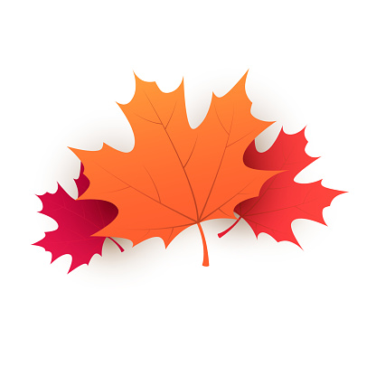 Red, Brown and White Autumn Fallen Tree Leaves Isolated on White Background - Design Template in Editable Vector Format