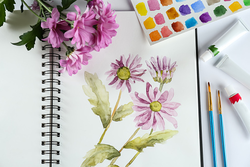 Painting of chrysanthemums in sketchbook, flowers and supplies on white background, flat lay