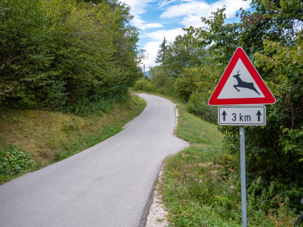 istock Sign - 