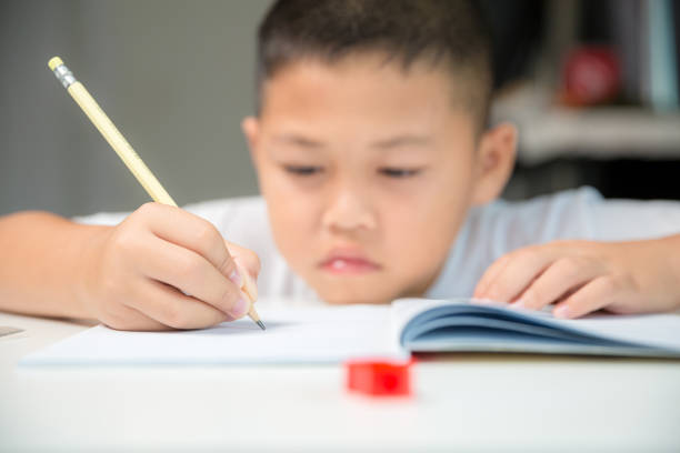 indian boy boy doing his school work or home work at home.
