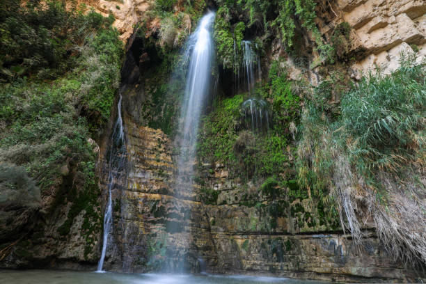 Waterfall and pool in the desert. Waterfall, Ein Gedi, Israel Waterfall in the desert of Ein Gedi, Israel. nature reserve stock pictures, royalty-free photos & images