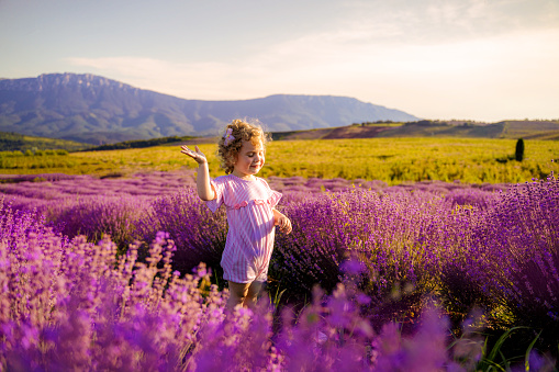 Little girl playing in lavender field at sunset