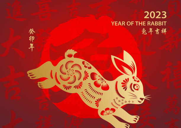 Golden Year of the Rabbit Celebrate the Year of the Rabbit 2023 with gold colored rabbit paper art and red stamp on the red Chinese language background, the background red stamp means rabbit, the horizontal Chinese phrase means wish you luck in the year of the rabbit and the vertical Chinese phrase means Year of the Rabbit according to Chinese lunar calendar system chinese language stock illustrations