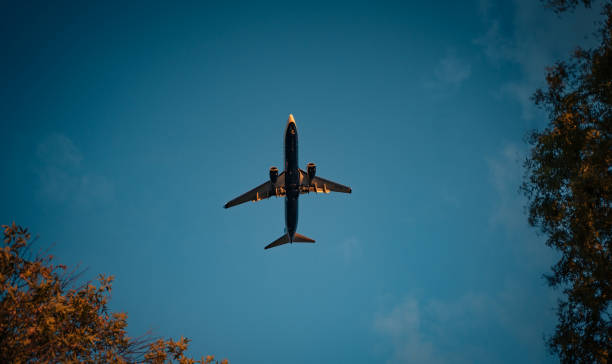istock Flying airplane against a beautiful skyline 1427989928