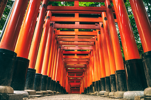 Kyoto, Japan - May 29th, 2016 : Red Torii Gate at Fushimi Inari Shrine, a pathway of thousands of torii gate, in Kyoto, Japan