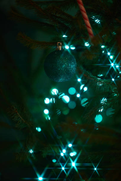 크리스마스 트리 장식과 사탕 달콤한으로 전나무 가지에 휴일 전기 파란색 화환을 닫습니다. 크리스마스 트리의 가지에 매달려있는 사탕 지팡이 - hard candy flash 뉴스 사진 이미지