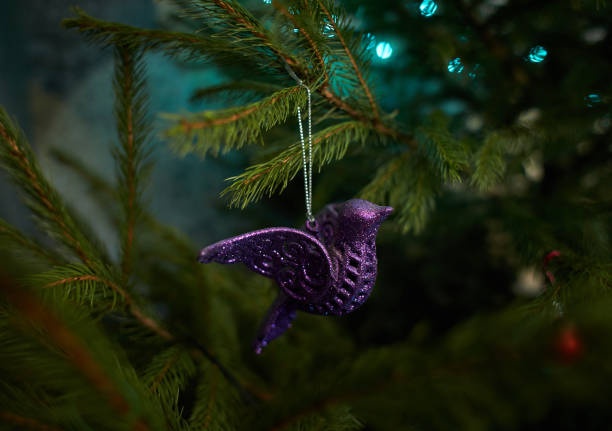 Close up of holiday electric blue garlands on fir branch with Christmas tree decoration and candy sweet. Candy cane hanging onto the branch of a Christmas tree Close up of holiday electric blue garlands on fir branch with Christmas tree decoration and candy sweet. Candy cane hanging onto the branch of a Christmas tree candy cane flash stock pictures, royalty-free photos & images