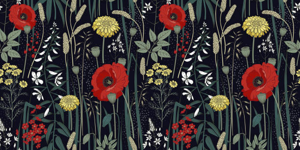 wildblumen und kräuter nahtloses muster. - dandelion wildflower field flower stock-grafiken, -clipart, -cartoons und -symbole